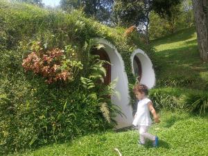 BIOTEKT - Biological Architecture