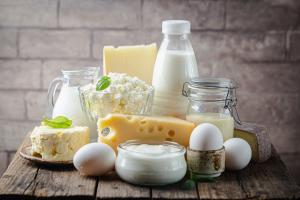 Dairy Ingredients Market