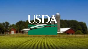 USDA Feasibility Study Providers Call 1.888.661.4449