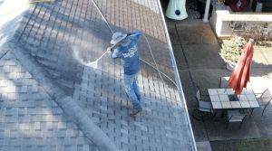 roof-washing-&-treatment-services