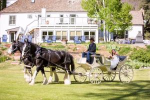 B&B Innkeepers of Colorado members meet high standards