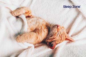 Sleep Zone
