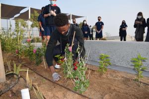Students involved in sustainable planting at Dwight School Dubai campus using 'breathable sand'