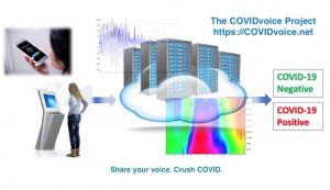 Image shows individuals speaking into a phone or kiosk, then those voice samples are processed using AI in the cloud, resulting in a diagnosis of COVID positive or COVID negative.