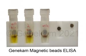 Magnetic beads ELISA test from Genekam Biotechnology AG