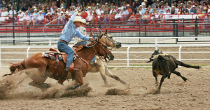 Rodeo 8 Flat at Cheyenne