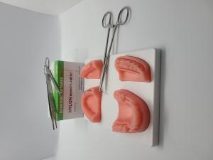 This is an image of a suture pad.