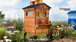 The new features of the Flow Hive 2+