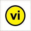 video intelligence AG logo