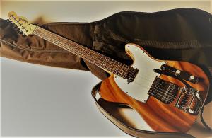 JoinWith.Me guitar, special built by Vigilant Guitars (Trevor Woodland) (photograph by Charles Jablow)