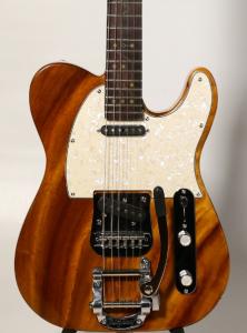 JoinWith.Me, special guitar built by Vigilant Guitars (Trevor Woodland) (photograph by Charles Jablow)