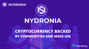 Nydronia encourages the use of blockchain networks in companies.