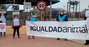 Animal Equality protesting live animal transport in Spain.