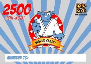 Certificate for 2500 Uchikomi