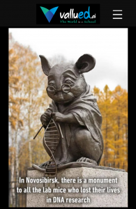 In the memory of all mice who died for DNA research