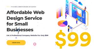Affordable web design service for small businesses, only $99