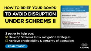 How to brief your board to avoid disruption under Schrems II by Anonos