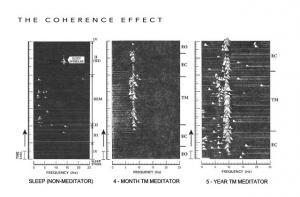 graphs show growing brain coherence as a person practices Transcendental Meditation