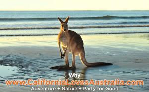 Live in California Time to Travel and Experience Australia Participate in Recruiting for Good to Earn Travel Savings #rewardingaustralia #californialovesaustralia www.CaliforniaLovesAustralia.com