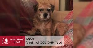  Terrier speaking English avatar with the words beneath Lucy victim of covid-19 fraud