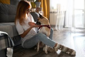 new dog course