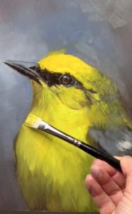 Paint Birds Workshop by Rose Tanner