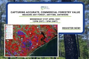 Capturing Accurate Commercial Forestry Value