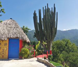 Cabana with Cactus