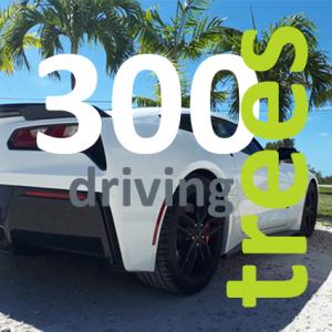 Cutout white Corvette and title to plant 300 trees