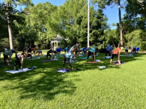 outdoor group yoga