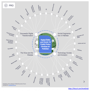 Digital Skills and COVID-19 Public Policy Options for Pakistan