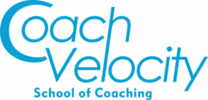 coach velocity school of coaching for professionals