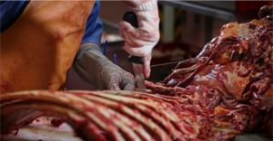 Meat processing worker splits horse carcass | Photo Credit: Shutterstock: Royalty-free stock photo ID: 1400460653