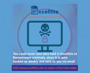 Excelitte protects your data from ransomware