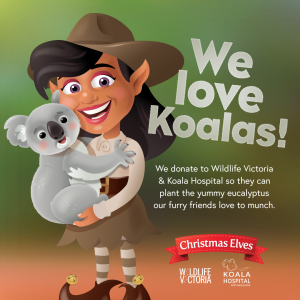An illustration of a female elf holding a koala. The text to the right of the image reads: We love koalas! We donate to Wildlife Victoria & Koala Hospital so they can plant the yummy eucalyptus our furry friends love to munch. Logos for Christmas Elves, W