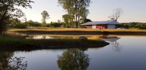 This is a wonderful shot taken overlooking the pond and the Container Barn.