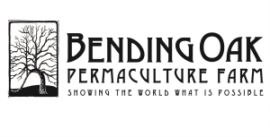The name of our farm was based on the amazing bending oak on the property. It reaches down to the ground like it wants to give the land a helping hand .