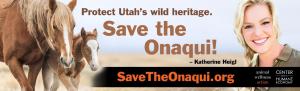 First Onaqui Billboard with Katherine Heigl in Salt Lake City (Layout Design)