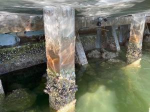 Seawall Construction Company Repair Job