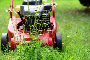 lawn care and weed control in Tucson