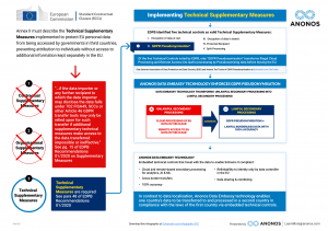 How To Implement Supplementary Measures by Anonos (Infographic)