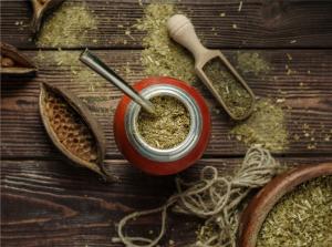 Yerba Mate (Ilex paraguariensis)