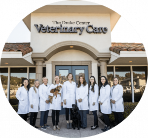 The Staff of The Drake Center For Veterinary Care