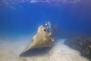 Coral Tomascik poses 60 feet below the surface for photographer Jason Washington