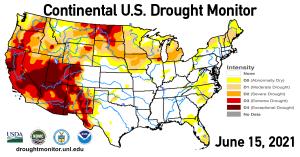 Drought conditions in the Western United States now feared to be the worst in nearly 1,200 years.