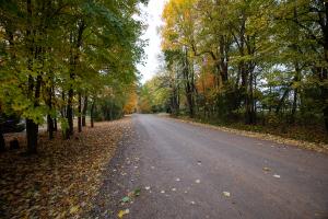 Another road in Michigan treated with Perma-Zyme