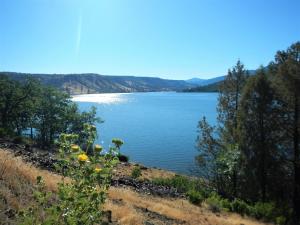 Picturesque Copco Lake on the Klamath River is critical habitat to numerous endangered species of flora and fauna