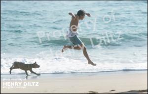 A vertical shot by David's friend & photographer Henry Diltz. A perfect shot caught @ the perfect moment: David in midair, on the beach in Hawaii. He is framed by the beautiful Hawaii water. Running behind him: "My trust dog Bullseye," running behind him.