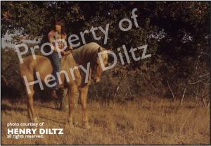 The picture is horizontal, taken by Henry Diltz. David Cassidy is to the left of the picture, riding Apollo, a light brown horse. The picture was taken in the mountainous neighborhood of Laurel Canyon, CA and that is what you see in the rest of the pictures.  