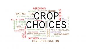 Many factors add to the complexity of crop planning